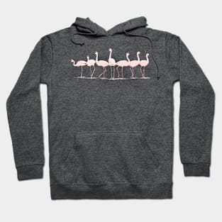 Feeding Flamingos - White Hoodie